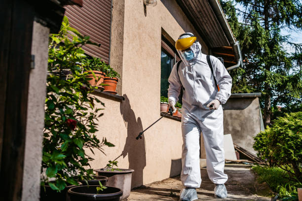 Best Rat Extermination Near Me  in Greensburg, PA