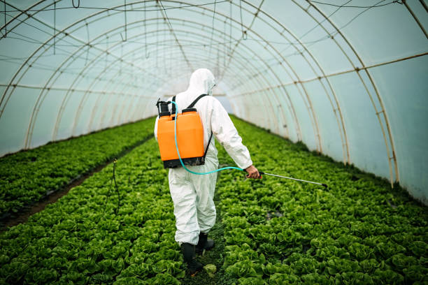 Best Pest Inspection Near Me  in Greensburg, PA