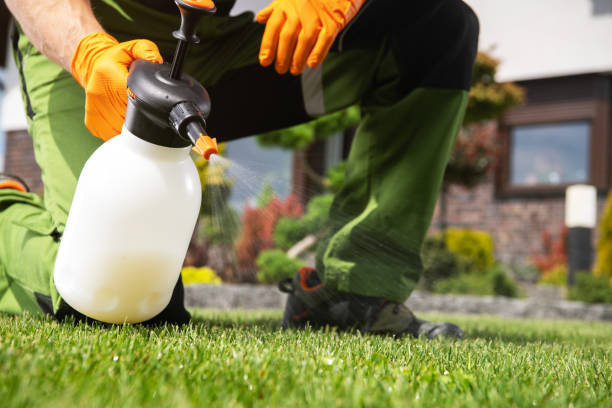 Best Termite Control Services  in Greensburg, PA