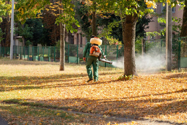 Best Local Pest Control Services  in Greensburg, PA
