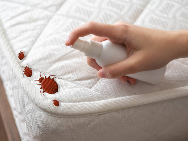 Trusted Greensburg, PA Pest Control Experts