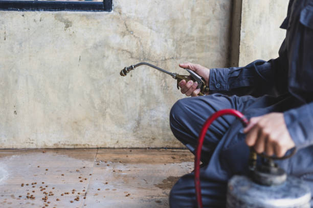 Best Best Pest Control Companies  in Greensburg, PA