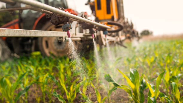 Best Mosquito Control Services  in Greensburg, PA
